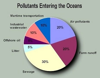 Looking at this pie chart, it's clear that our oceans are getting hit from many places. 30% of ocean pollutants come from sewage. Then, there's farm runoff and even air pollution each contributing 20%. Industrial wastewater and shipping add another 10% each. Basically, a lot of what ends up in our oceans starts on land, emphasizing how crucial it is to better manage our waste and what we put into our environment.